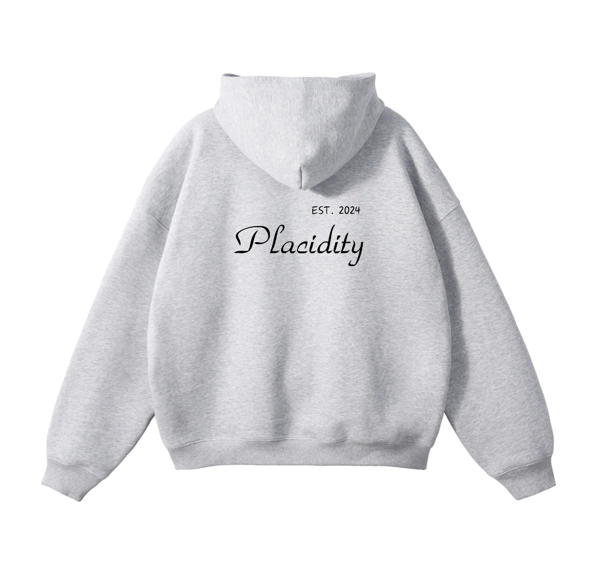 Placidity Embroidered Hoodie